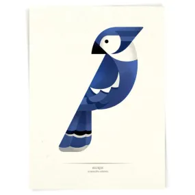 Blue Jay Print (5" x 7")