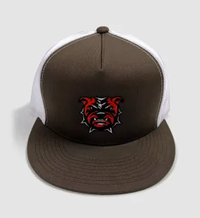 Brown Dawg Mesh Snap Back