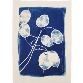 Cyanotype Art Print - Silver Dollars (5" x 7")