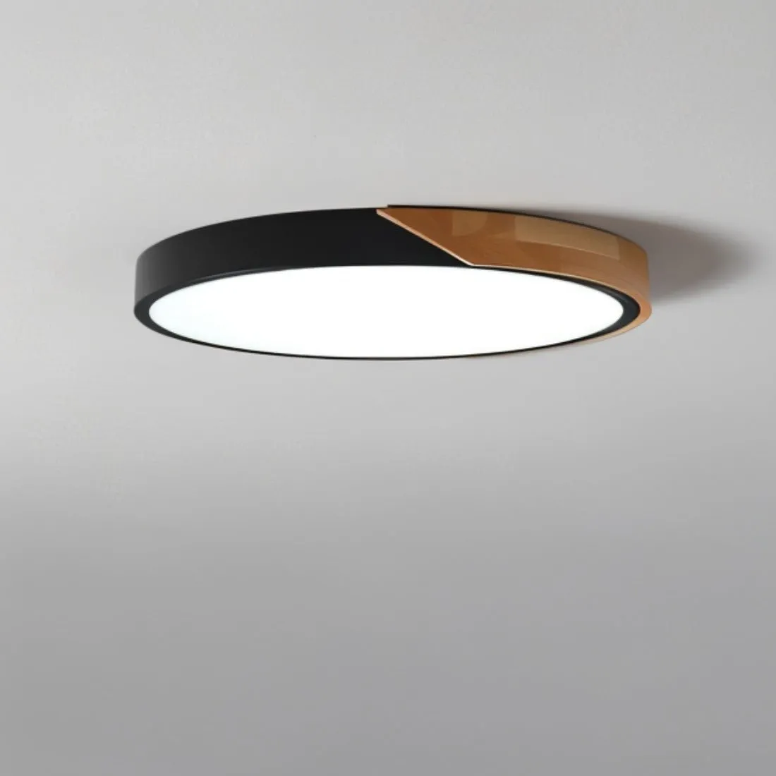 Delphi Ceiling Light