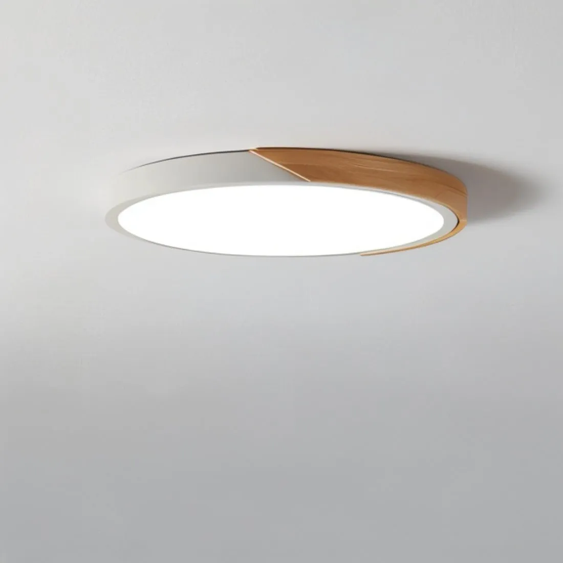 Delphi Ceiling Light