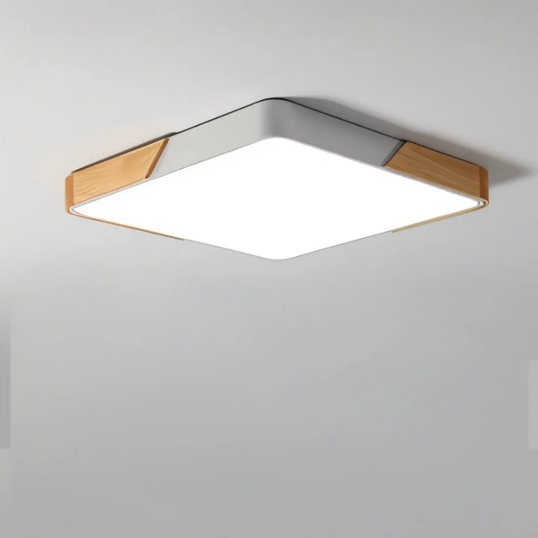 Delphi Ceiling Light